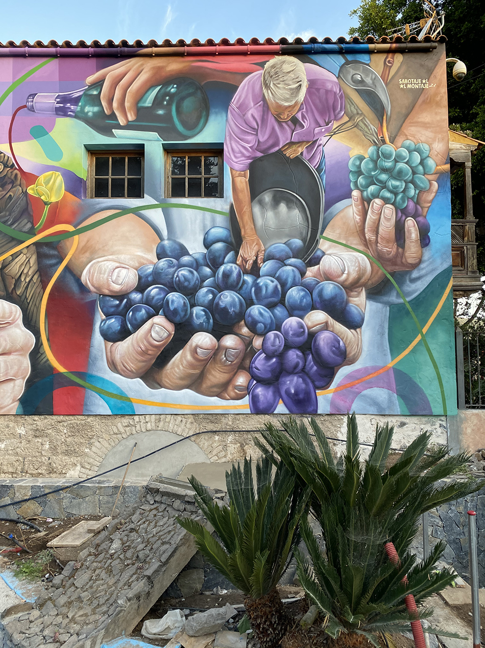 Casa del vino santa brigida